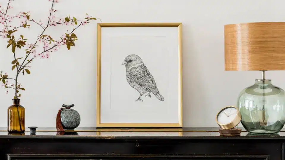 Framed picture of a bird that requires proper storage