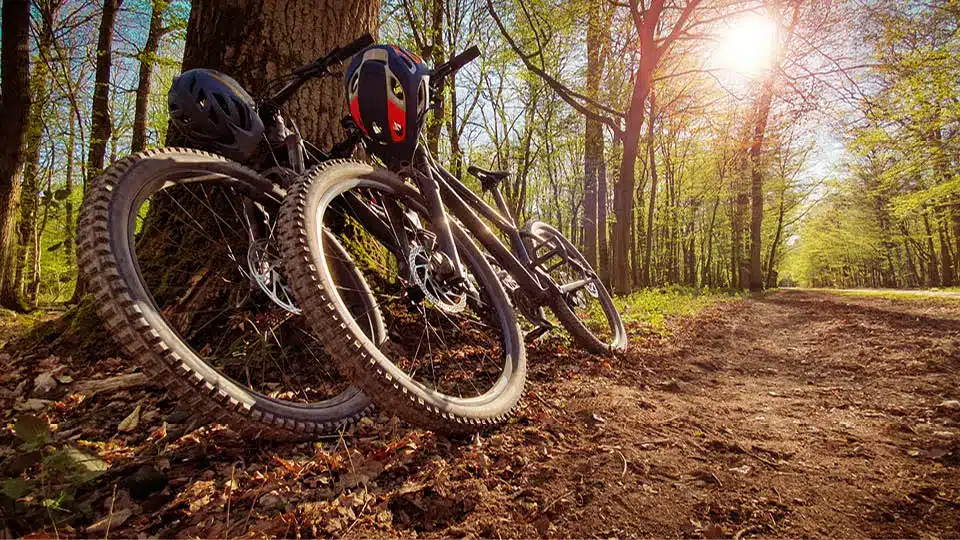 Mountain bikes on the Red Lick Mountain Bike Trails