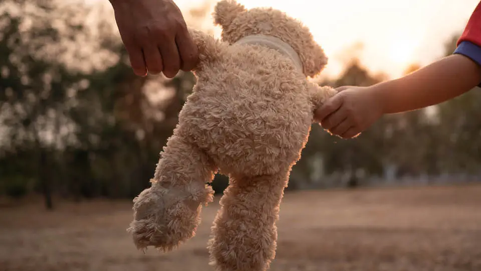 A teddy bear held by a parent and child