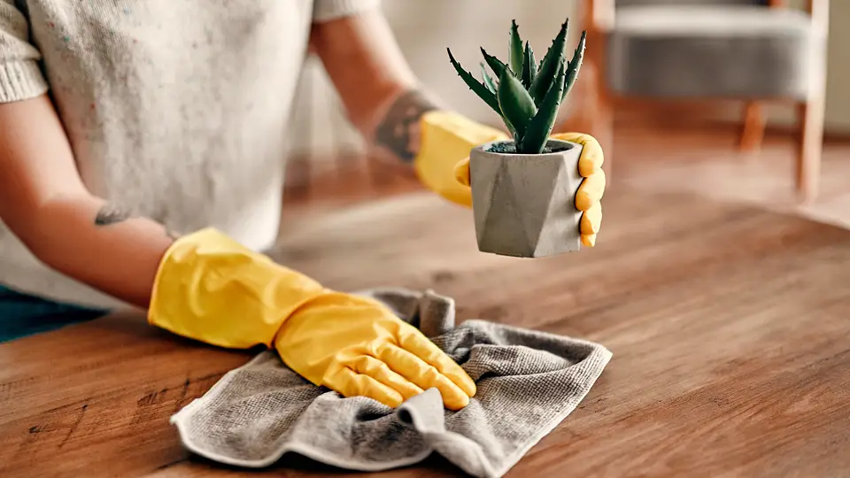 A person cleaning a table