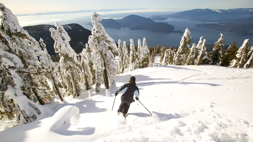 Cypress Mountain Coaster West Vancouver