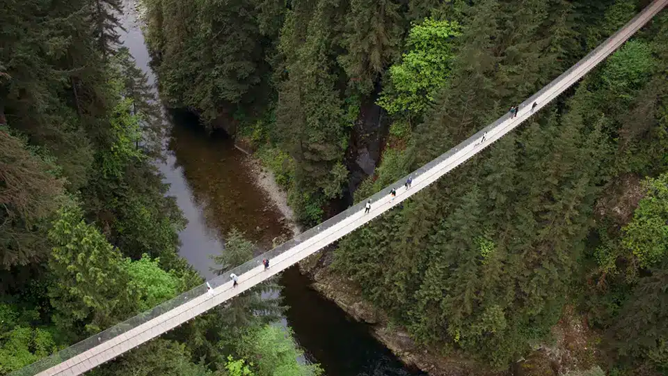 Capilano Suspension Bridge