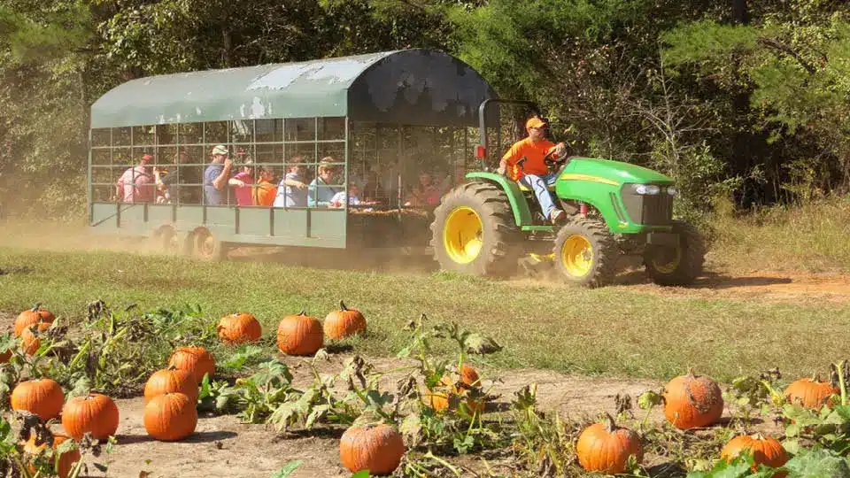 Harvest Time Hayrides in Avon, 
Indiana 