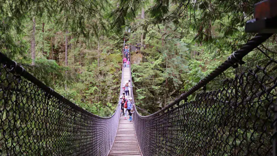 Lynn Canyon Suspension Bridge