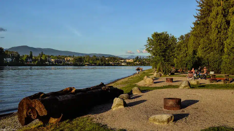 Westview Park Off-leash Area 