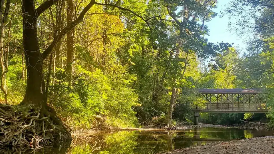 White Lick Creek in Mooresville, IN