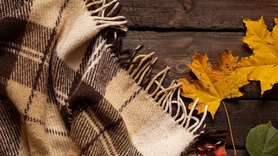 Scarf and fall leaves